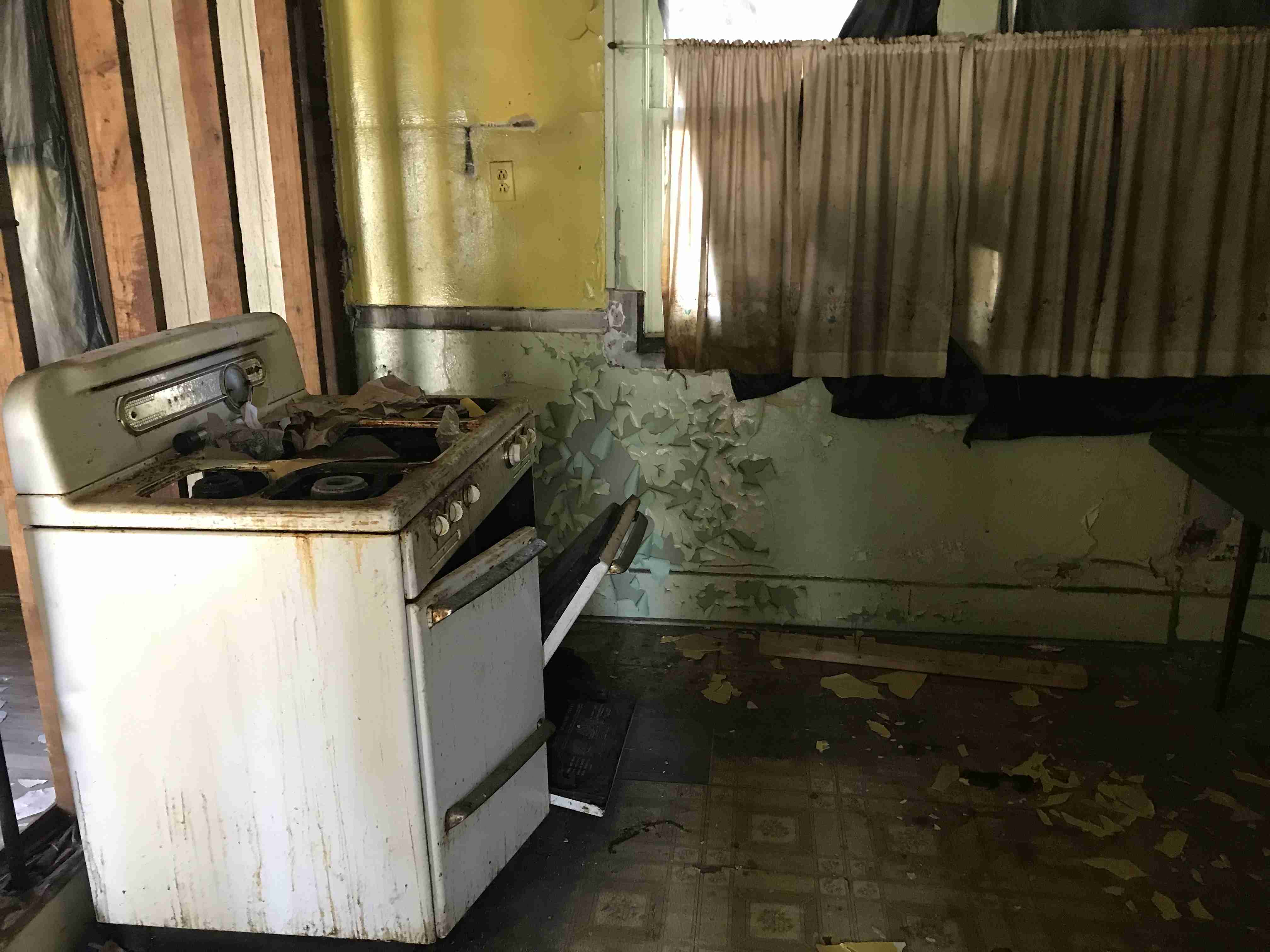 Photo Oct 13, 12 35 43 PM.jpg